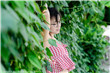 皇后是朕的小青梅